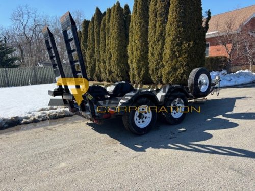 2020 MMDI Equipment Trailer- $4,250.00 - Image 2